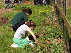 CCE service learning
