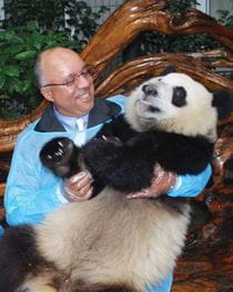 Drexel to Present $10,000 Check to Chinese Officials and Adopt Eight Pandas Bred at Conservation Park in China