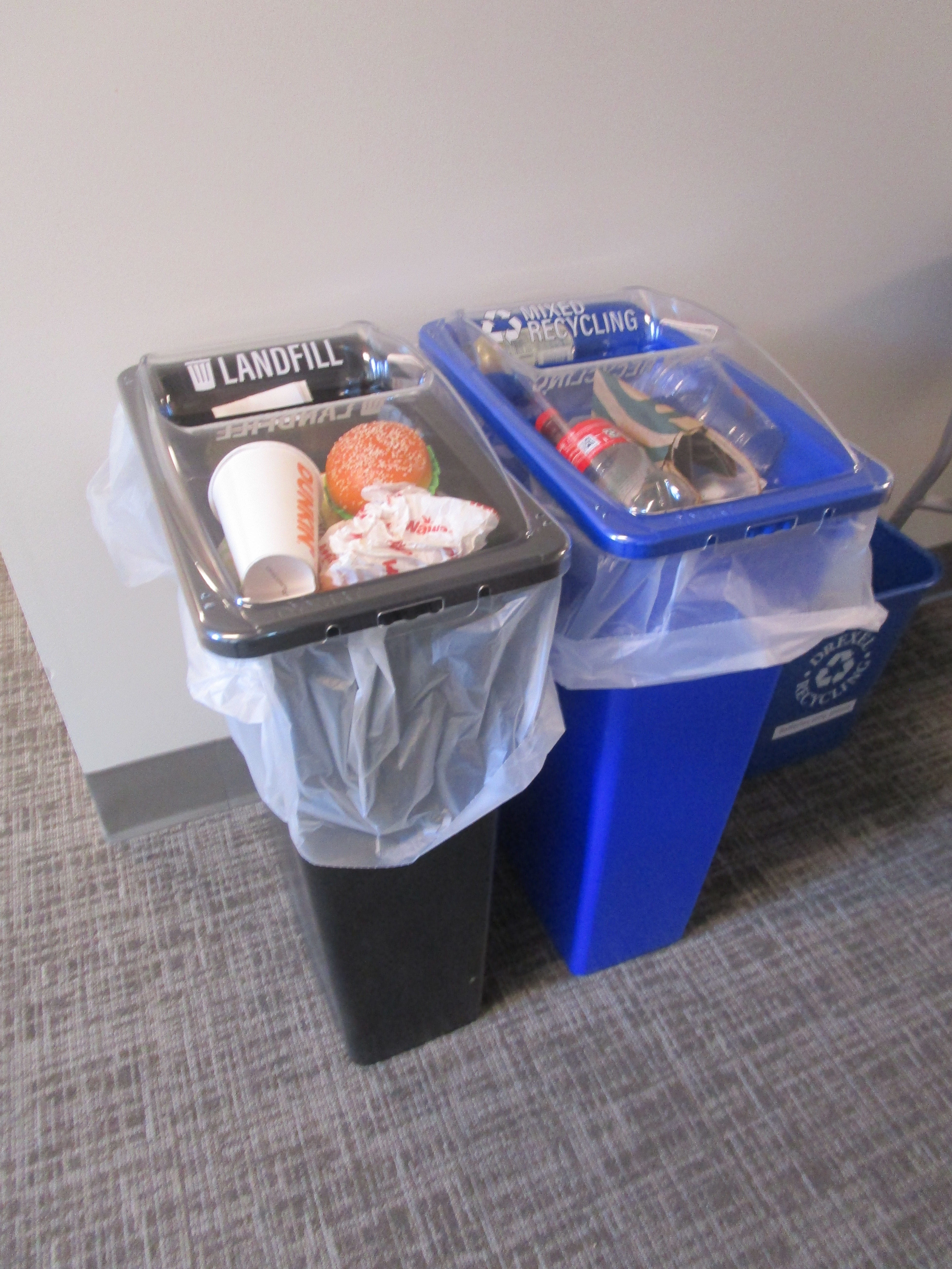 A black garbage bin next to a blue recycling bin.