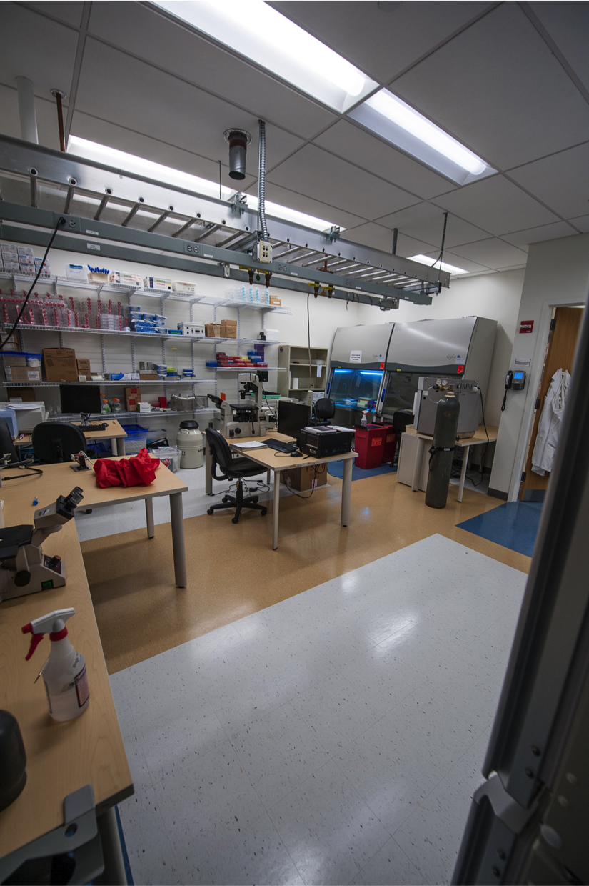 cellular diagnostics and imaging lab