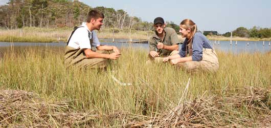 Students at Barnegat Bay