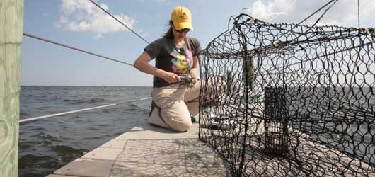 Student at Barnegat Bay