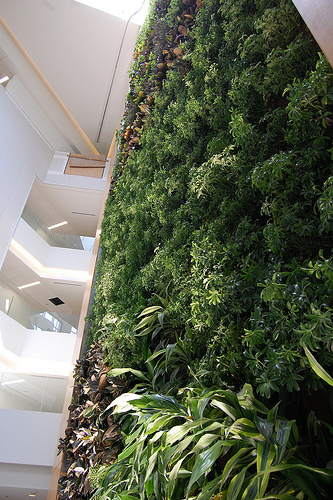 PISB Bio Wall Panorama