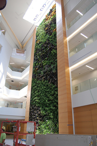 Biowall panorama full scale, small