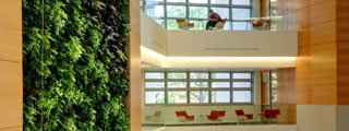 A view of the seating areas next to the biowall 