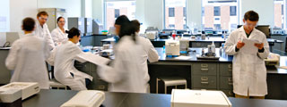Dr. Russell in the lab with students