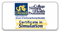 Certificate in Simulation
