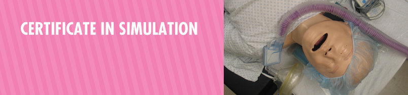 Certificate in Simulation