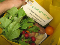 11th Street Healthy Harvest Celebration