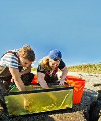 Students in the Field