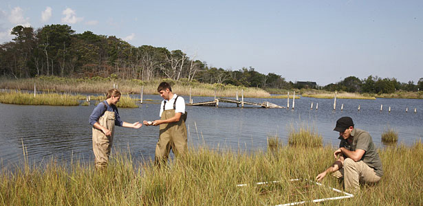 Freshman orientation performing field research in Barnegat Bay, New Jersey