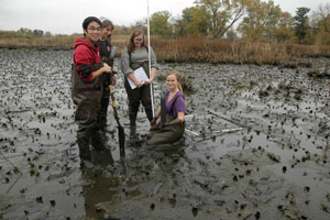 BEES students up to their elbows in mud (with soil core). This marsh team was using a quadrat to estimate plant densities, coring soils, and measuring water levels over time in the Tinicum marsh.