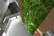 Bio Wall - Papadakis Integrated Sciences Building