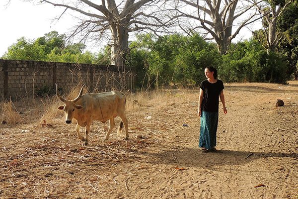 Drexel Chemistry Major Victoria Smith with a cow in The Gambia