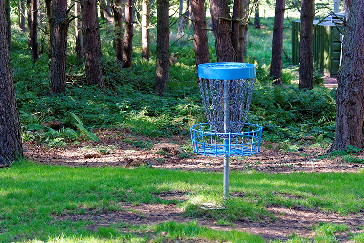 Disc Golf - Sedgley Woods