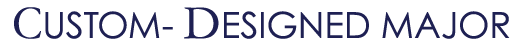 Custom Designed Major Drexel University