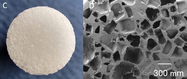 Dr. Sorin Seigler and Dr. Ahmad Najafi: "A porous swelling copolymeric material for improved implantfixation to bone" published in Journal of Biomedical Materials