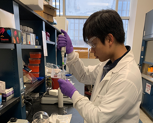 Nate Nguyen working in the lab
