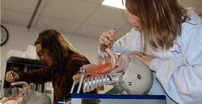 Nursing student practicing on model