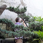 Shanghai 2010
