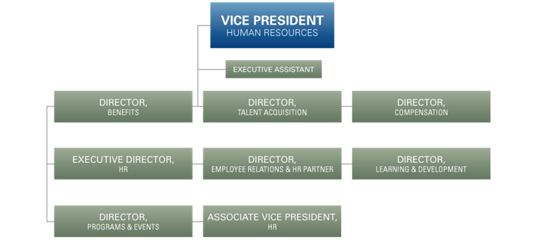Organization Chart