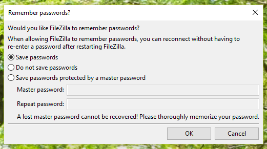 Choose whether or not to save your password, then click 'OK.'