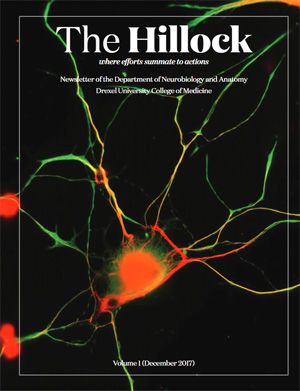 The Hillock - Volume 1 December 2017 - Department of Neurobiology and Anatomy
