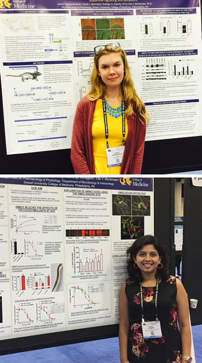 Stacia Lewandowski and Shaili Aggarwal with their posters at the 2016 Society for Neuroscience meeting in San Diego