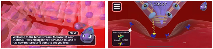 Malaria Invasion™ - the latest educational mobile game produced by the Institute for Molecular Medicine and Infectious Disease at Drexel University College of Medicine