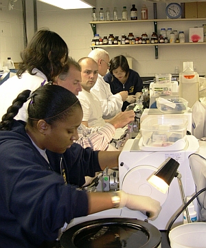 Histotechnology students in the lab