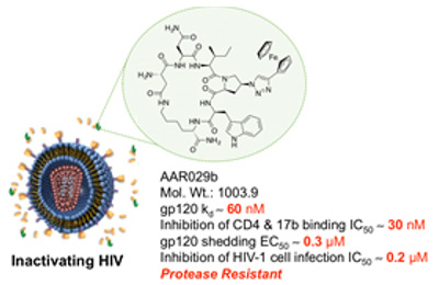 Peptidomimetics inhibitors of the HIV-1 envelope gp120 glycoprotein image from the Drexel Biochemistry Graduate Program.