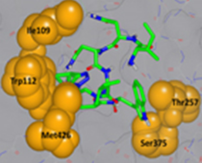 Structure-based drug design research image from the Drexel Biochemistry Graduate Program.