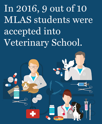 Where are the veterinary schools in the United States?