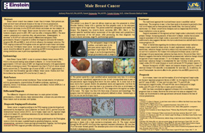Pathologists' Assistant Research: Male Breast Cancer
