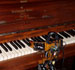 Drexel Students Develop Music-Playing Robot
