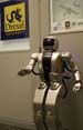 Introducing Jaemi HUBO the Humanoid