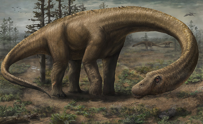 Dreadnoughtus, el mayor dinosaurio que podría haber existido Landscape_For_Web800