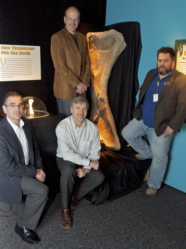 Dino bone installation at the Franklin