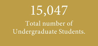 13980 total number of undergraduate students