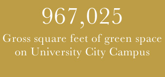 967025 green space per square feet