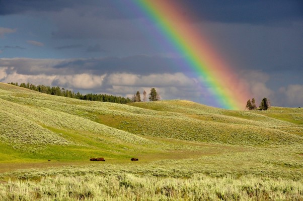 Image of a rainbow over a green field