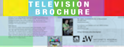 Tevlevision Brochure