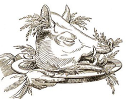 Boar's Head