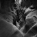 Untitled by Jacqueline Dart
