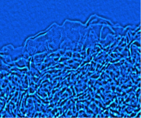Transmission electron image of a-MEGO. Image taken by Dr. Eric Stach of Brookhaven National Lab.