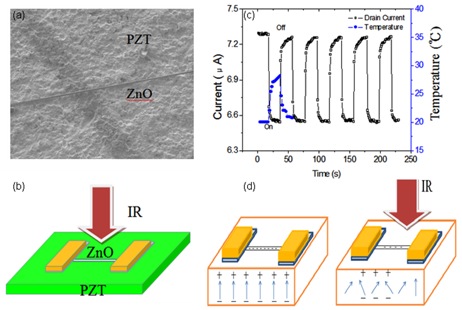 ZnO-PZT field effect transistor. (a) SEM image showing a single ZnO NW bridging two patches of PZT. (b) A schematic illustration of device configuration under IR illumination. (c) The drain current as a function of time modulated by IR laser of 250 mW with a light on or off PZT with upward polarization. The temperature rise correlates with the current drop. (d) IR illumination on the PZT with upward polarization decreases the positive bound charge density at the top surface of the PZT, which decreases the electron carrier concentration in the ZnO NW and decreases the drain current.