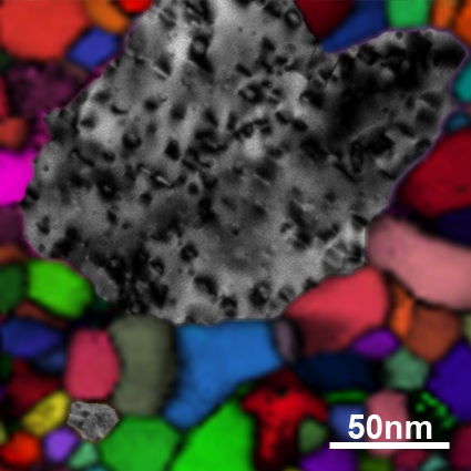 Transmission electron microscopy provides a powerful tool to understand the potential of nanocrystalline metal alloys as radiation tolerant materials. In this figure, black and white TEM images of radiation damage in grains of nanocrystalline iron are overlaid on a color-coded map of grain orientation acquired by TEM. Radiation damage in nanocrystalline iron, indicated by black spots, decreases as a function of decreasing grain size.  This image was created from work performed in Taheri's Dynamic Characterization Group, specifically by Ph.D. student Gregory Vetterick.
