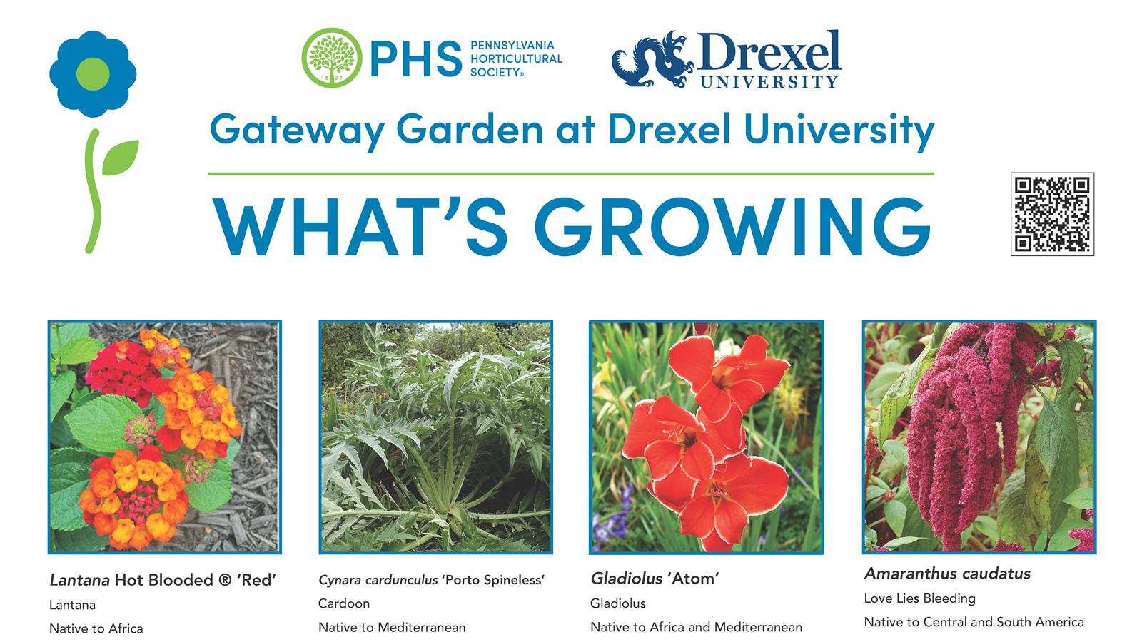 PHS list of Plants in the Gateway Garden