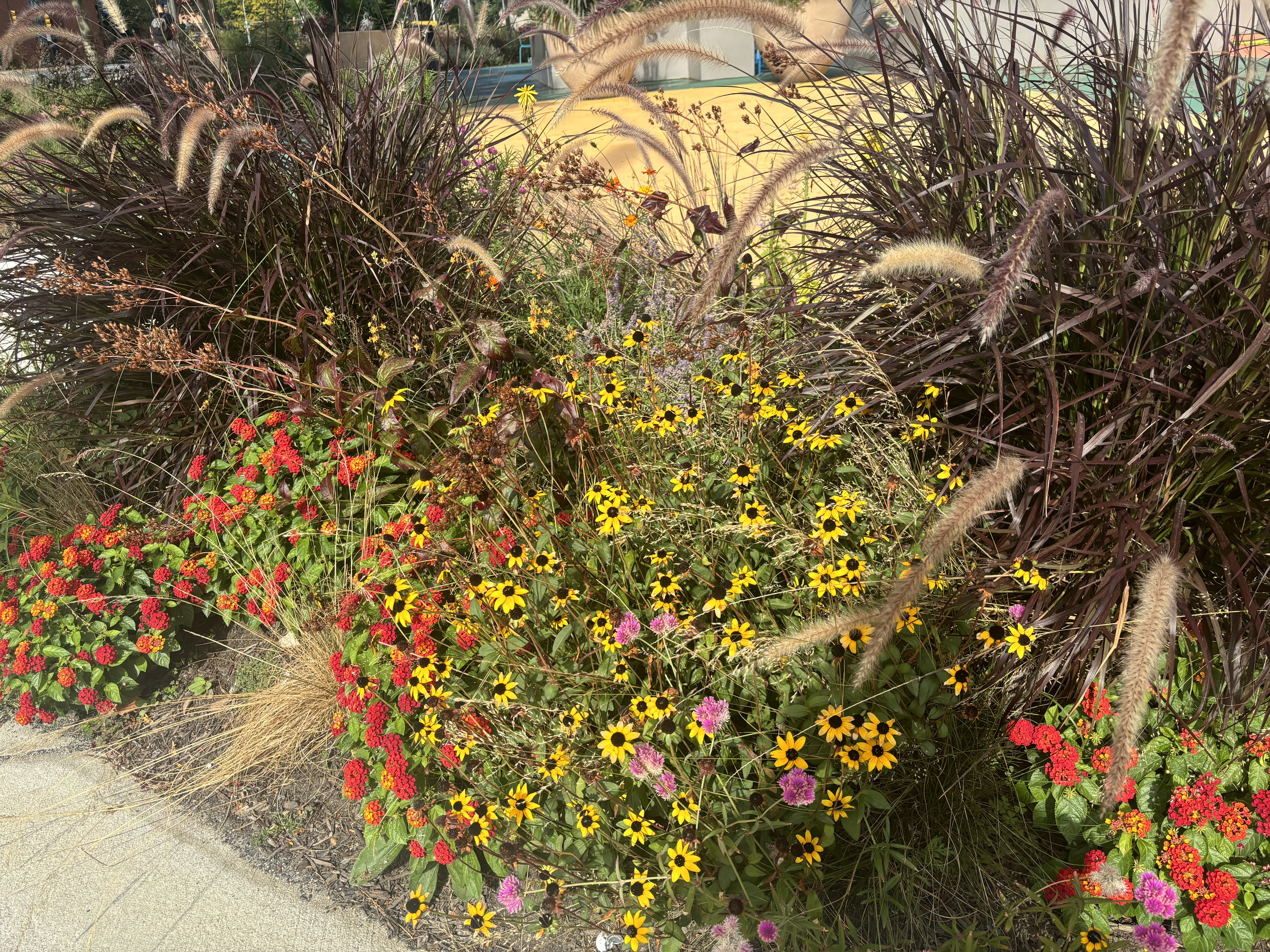 fall foliage at Gateway Garden at Drexel University