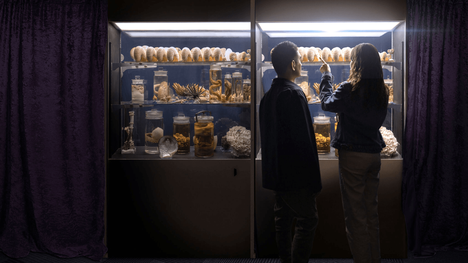 Two visitors to the Academy of Natural Sciences examine a display case of natural artifacts